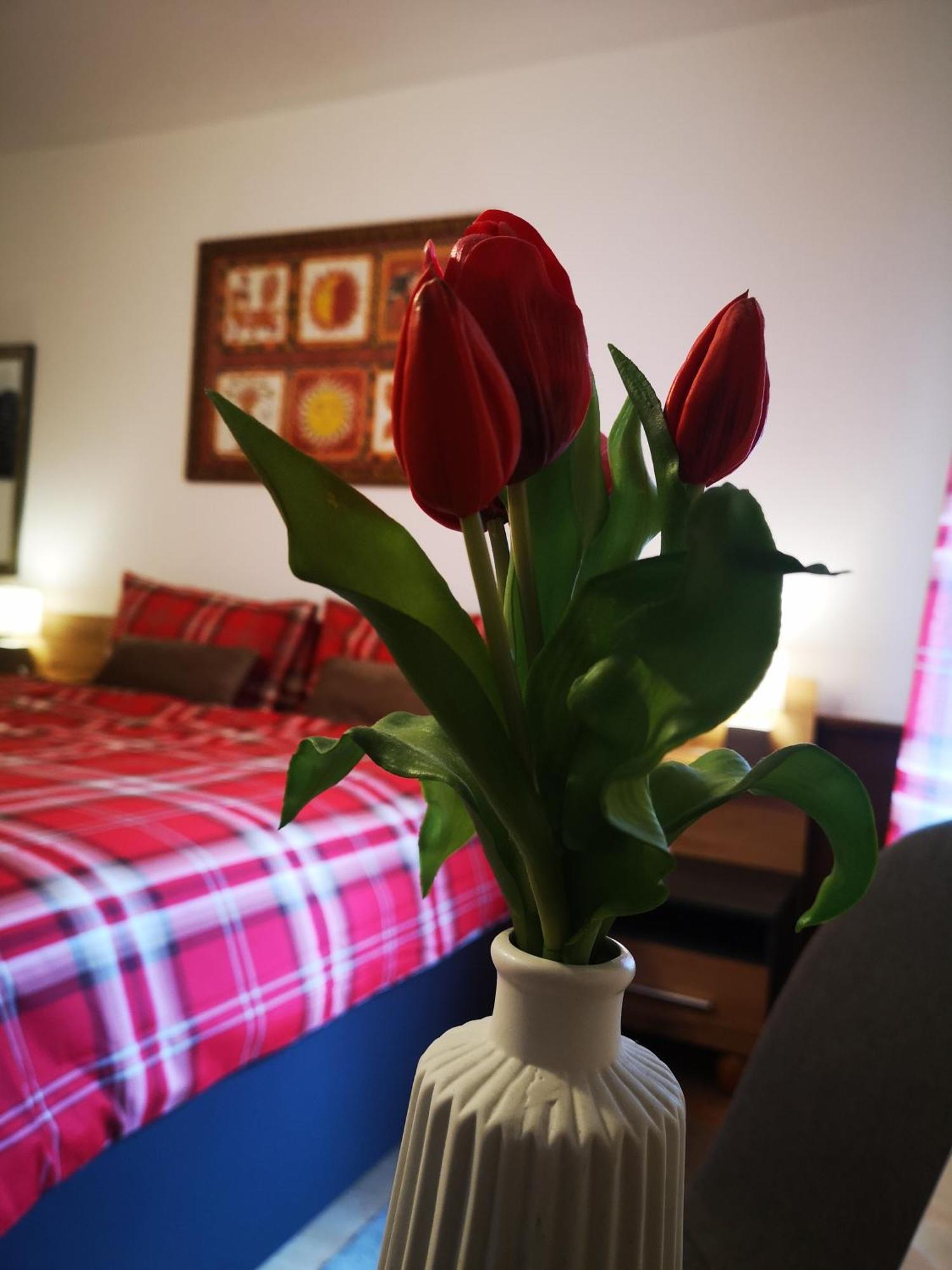 Rosy'S House B&B Бад Гоисерн Номер фото